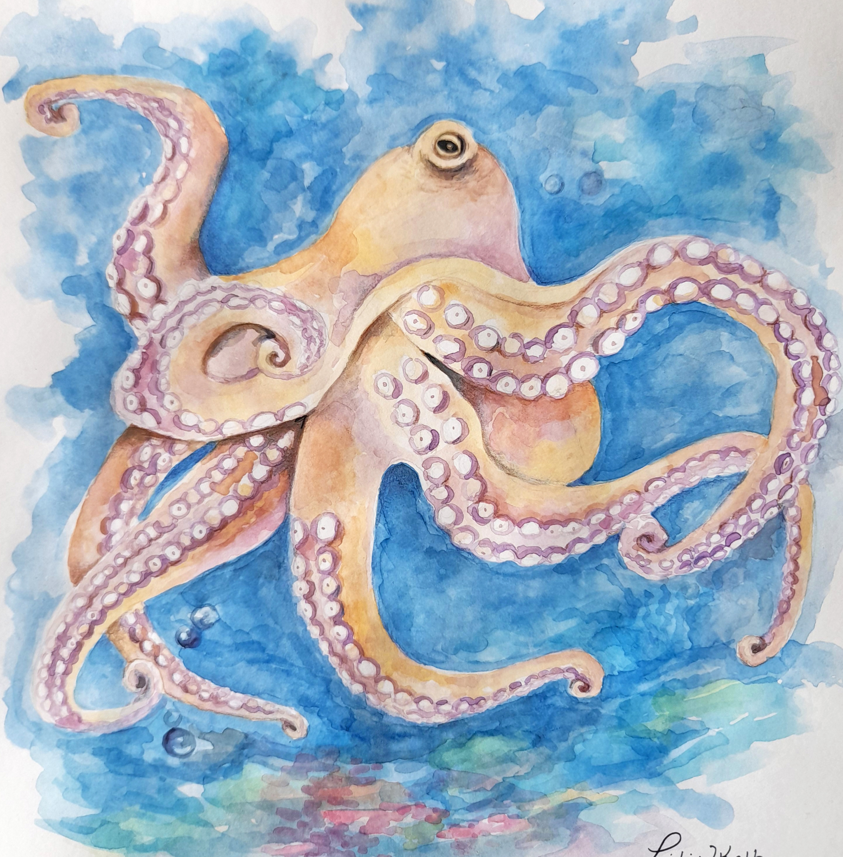 pulpo